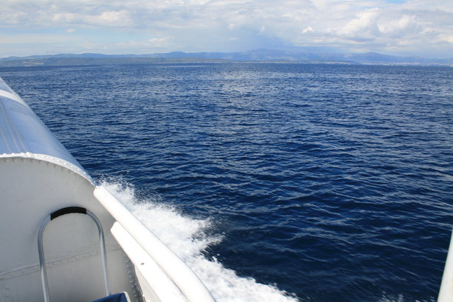 gal/cro 08/small-IMG_5089.JPG